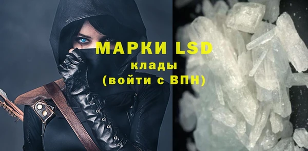стафф Алзамай
