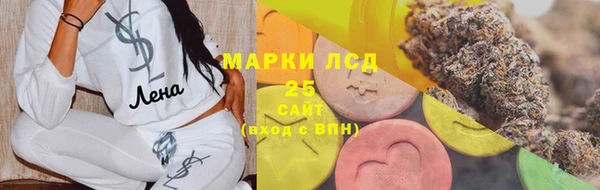 стафф Алзамай