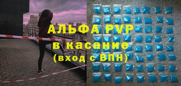 стафф Алзамай